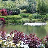 lac exotique en printemps  L&#39;étang exotique au printemps